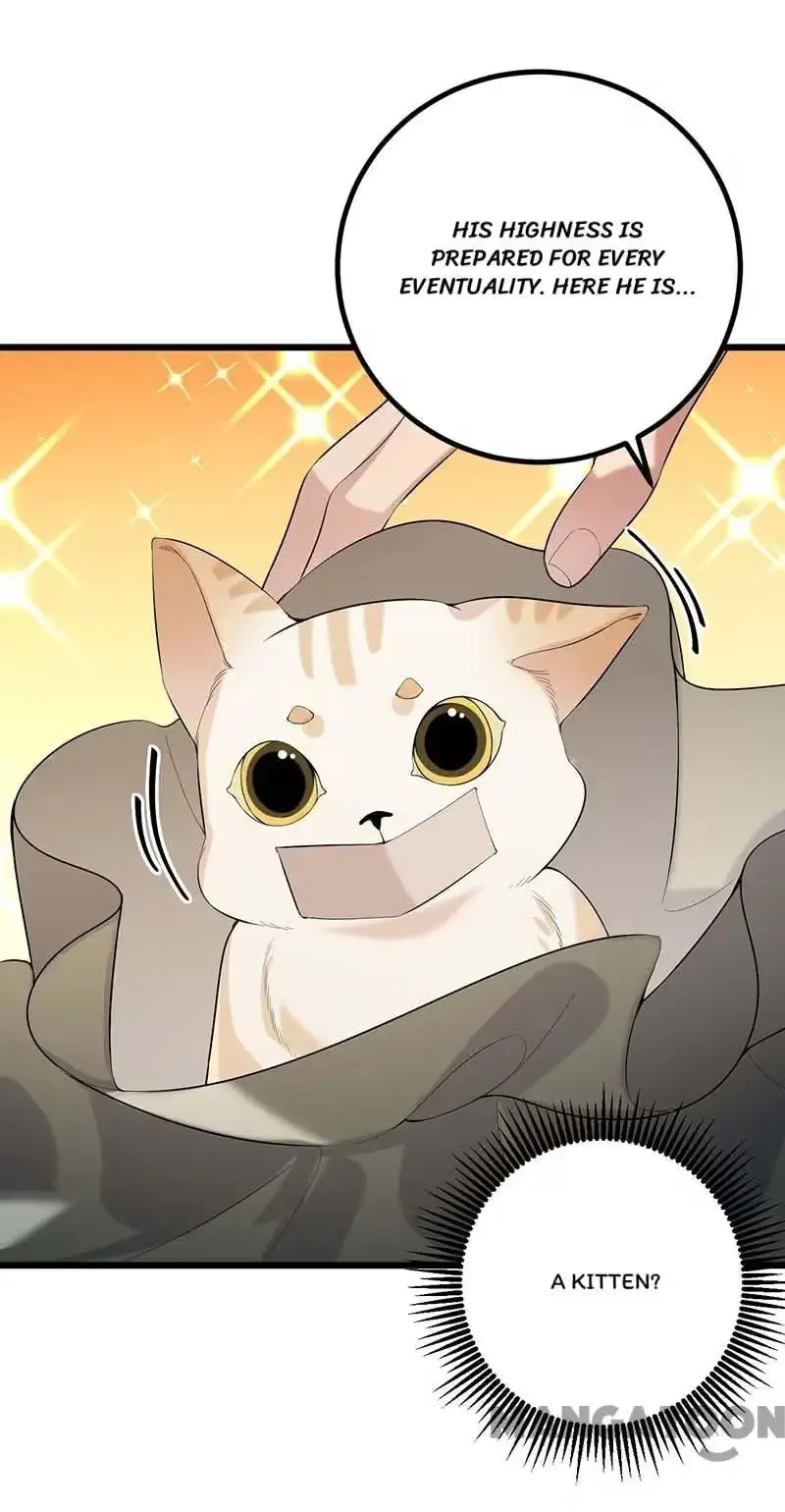 Read Return for Revenge chapter 249 image 19 on Lezhin