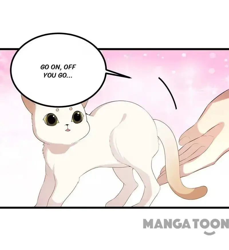 Read Return for Revenge chapter 249 image 21 on Lezhin