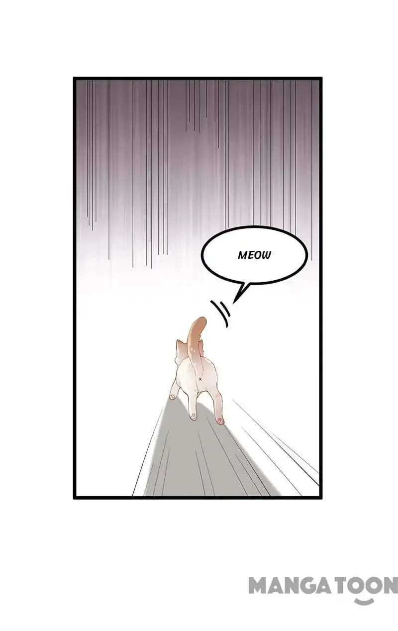 Read Return for Revenge chapter 249 image 22 on Lezhin