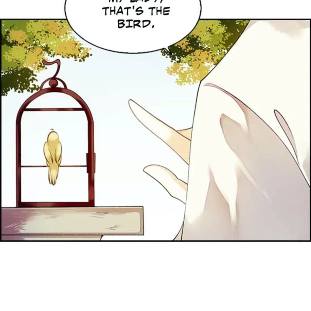 Read Return for Revenge chapter 36 image 13 on Lezhin