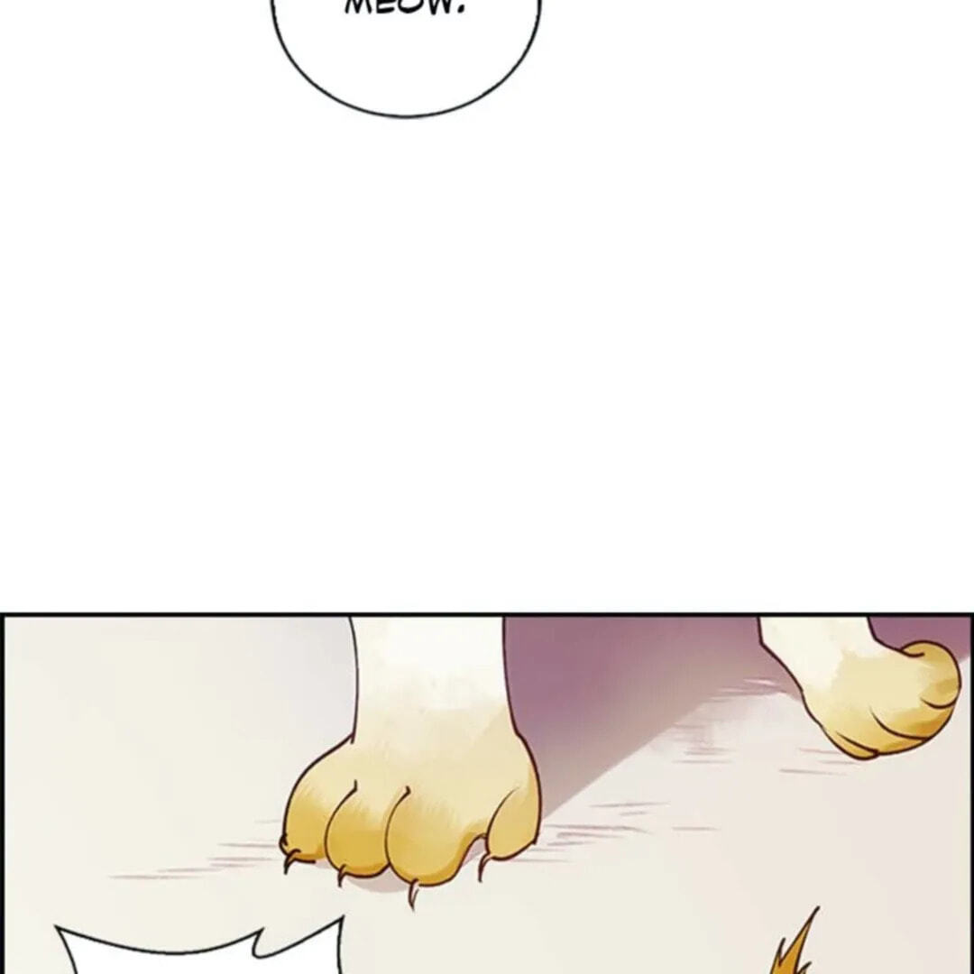 Read Return for Revenge chapter 36 image 17 on Lezhin