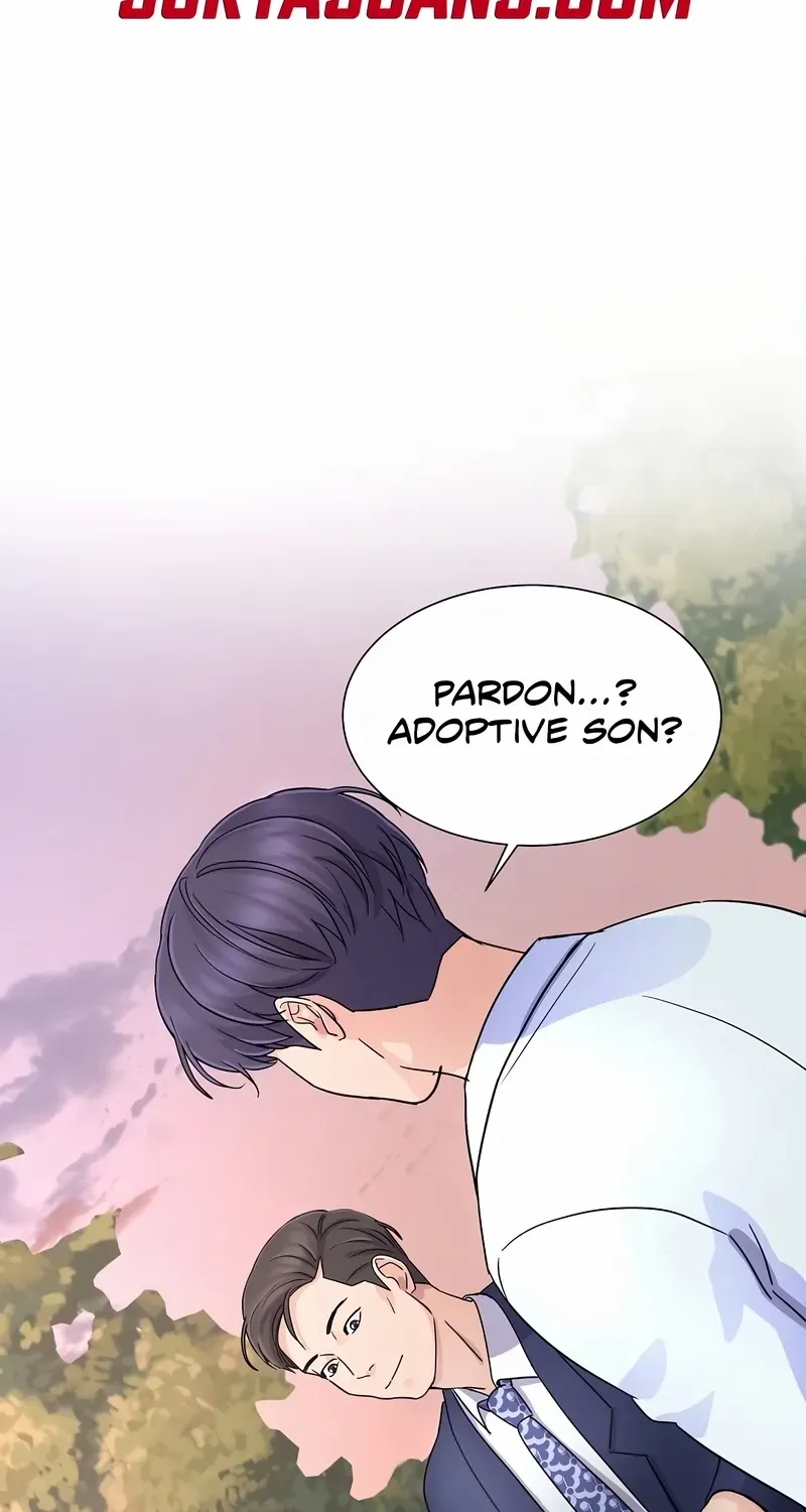 Return of the Max-Level Doctor Chapter 17 page 4 - 