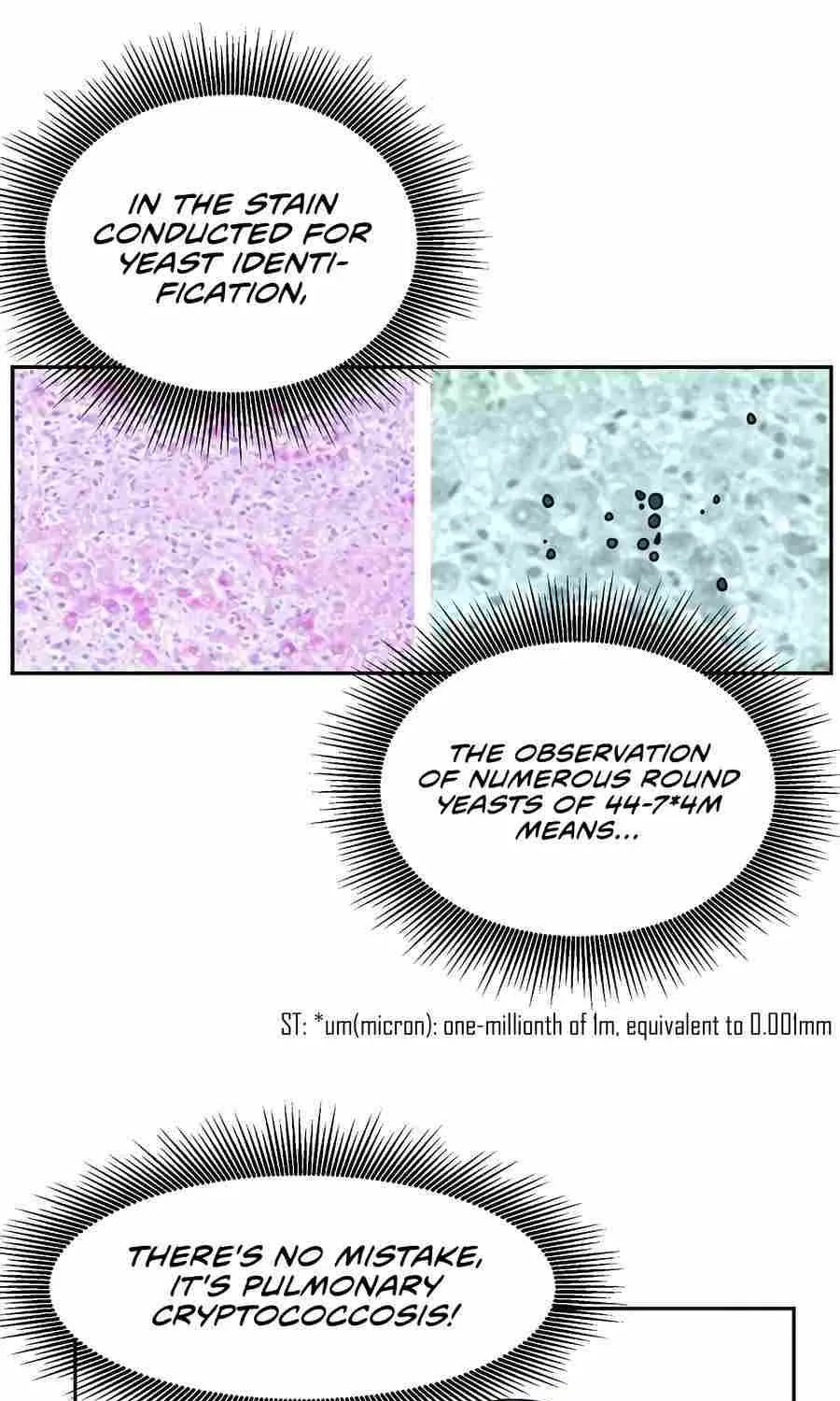 Return of the Max-Level Doctor Chapter 28 page 3 - 