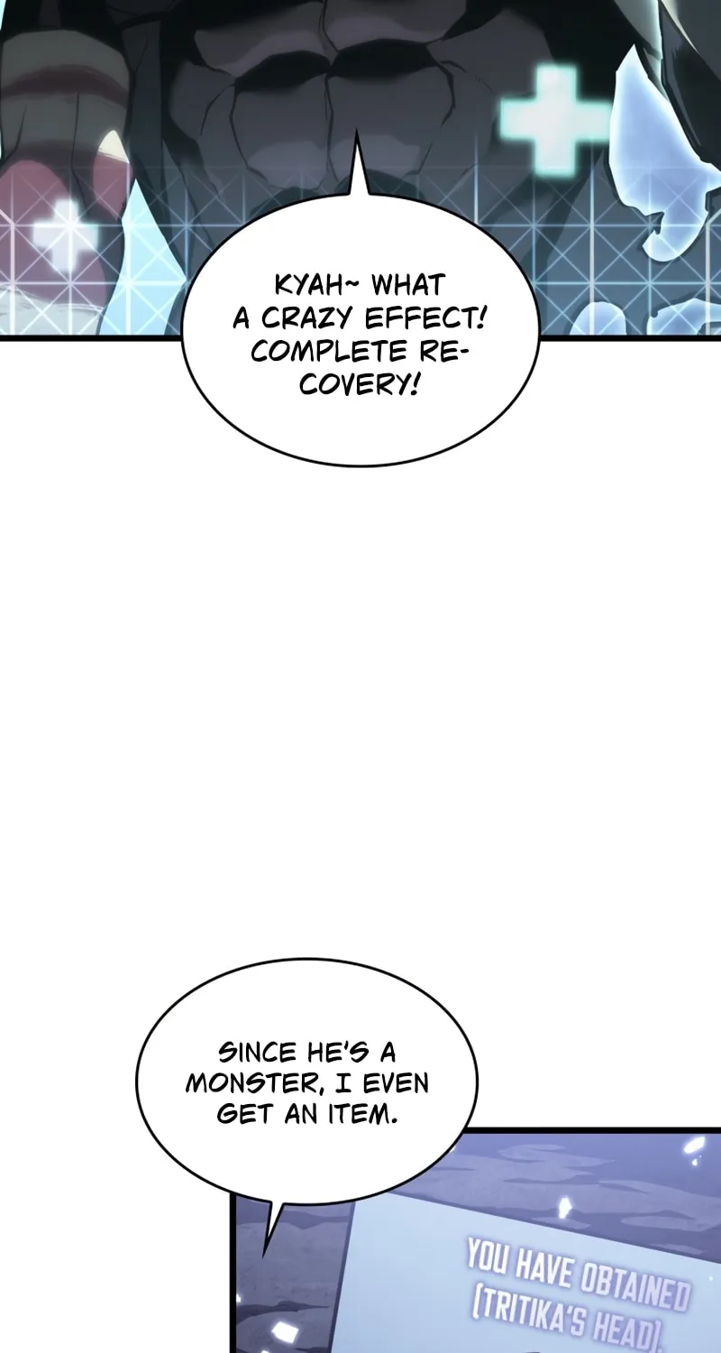 Return of the SSS-Class Ranker Chapter 55 page 26 - 