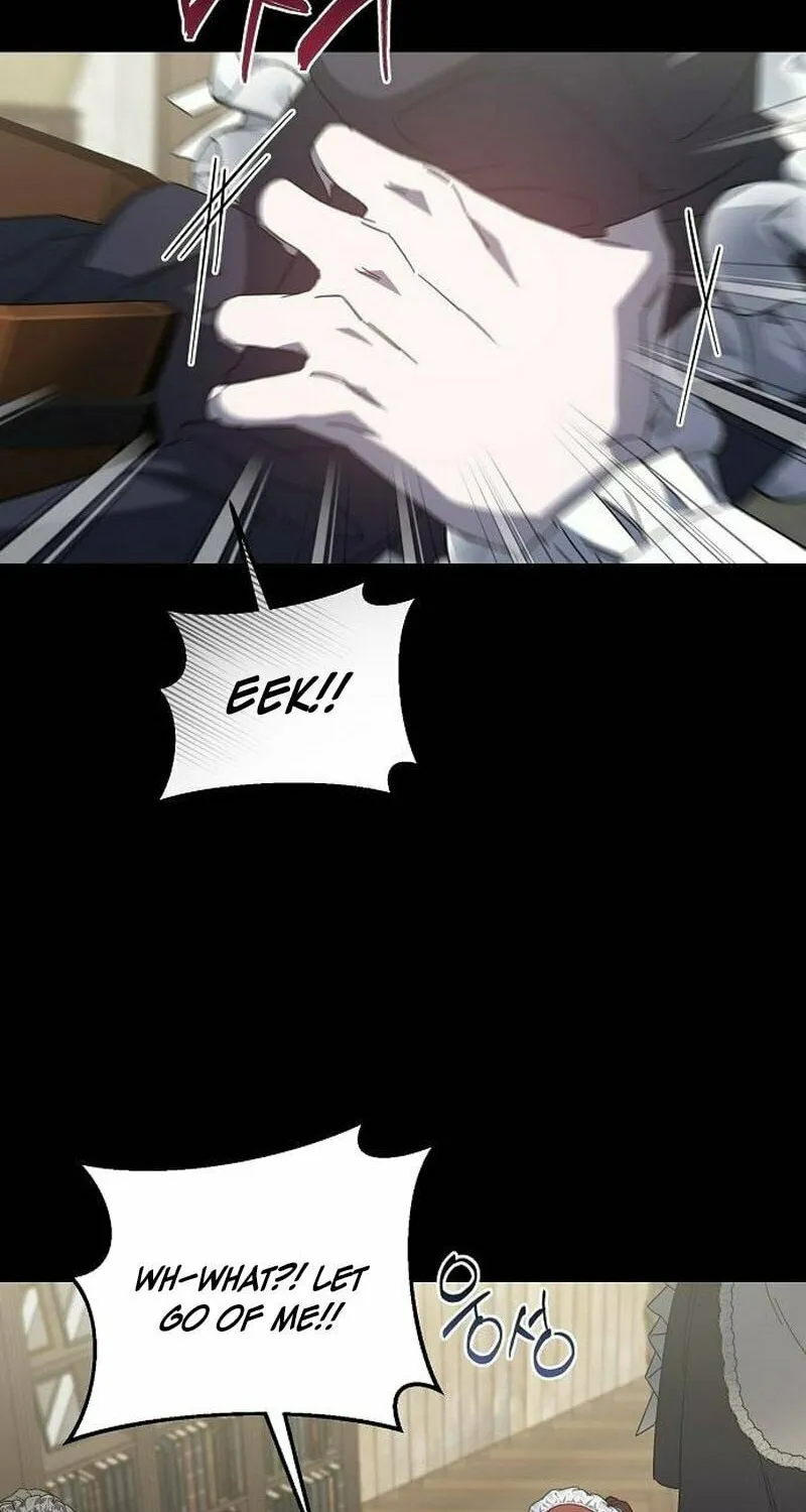 Revenge Guide for the Time-Limited Maid Chapter 25 page 17 - 