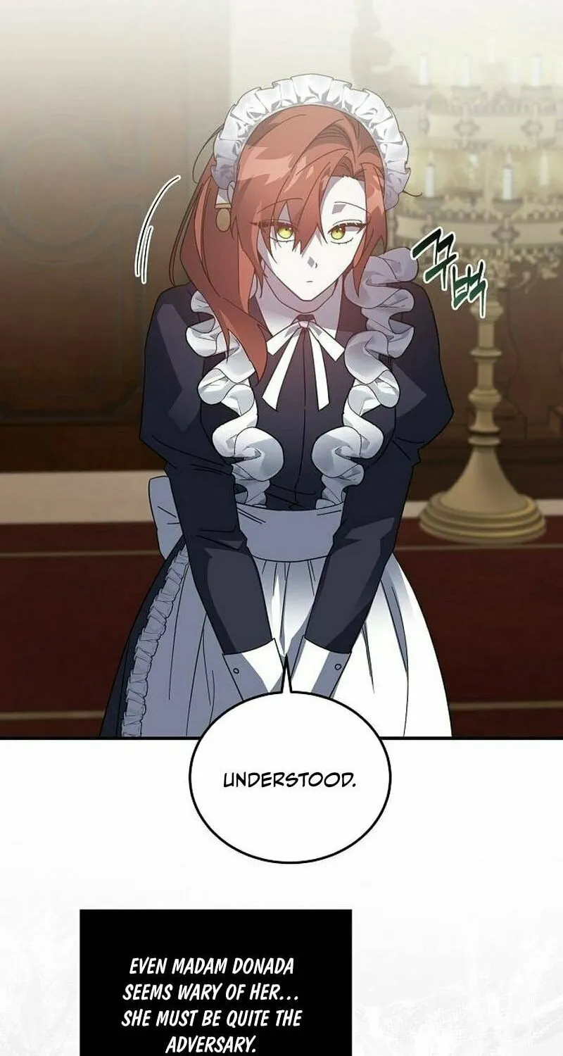 Revenge Guide for the Time-Limited Maid Chapter 25 page 33 - 