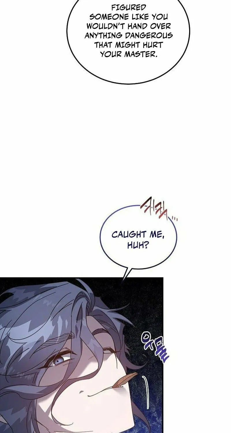 Revenge Guide for the Time-Limited Maid Chapter 26 page 47 - 