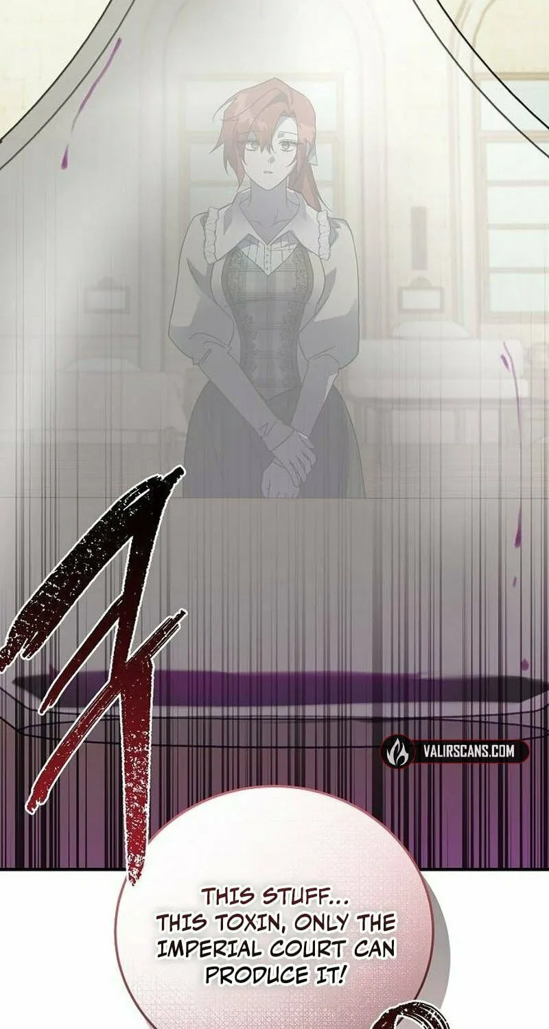 Revenge Guide for the Time-Limited Maid Chapter 27 page 29 - 