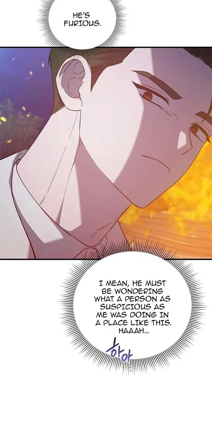 Revenge Guide for the Time-Limited Maid Chapter 30 page 17 - 