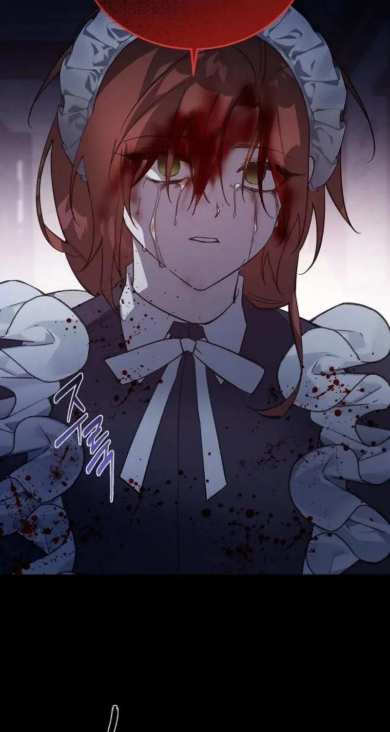 Revenge Guide for the Time-Limited Maid Chapter 45 page 28 - 
