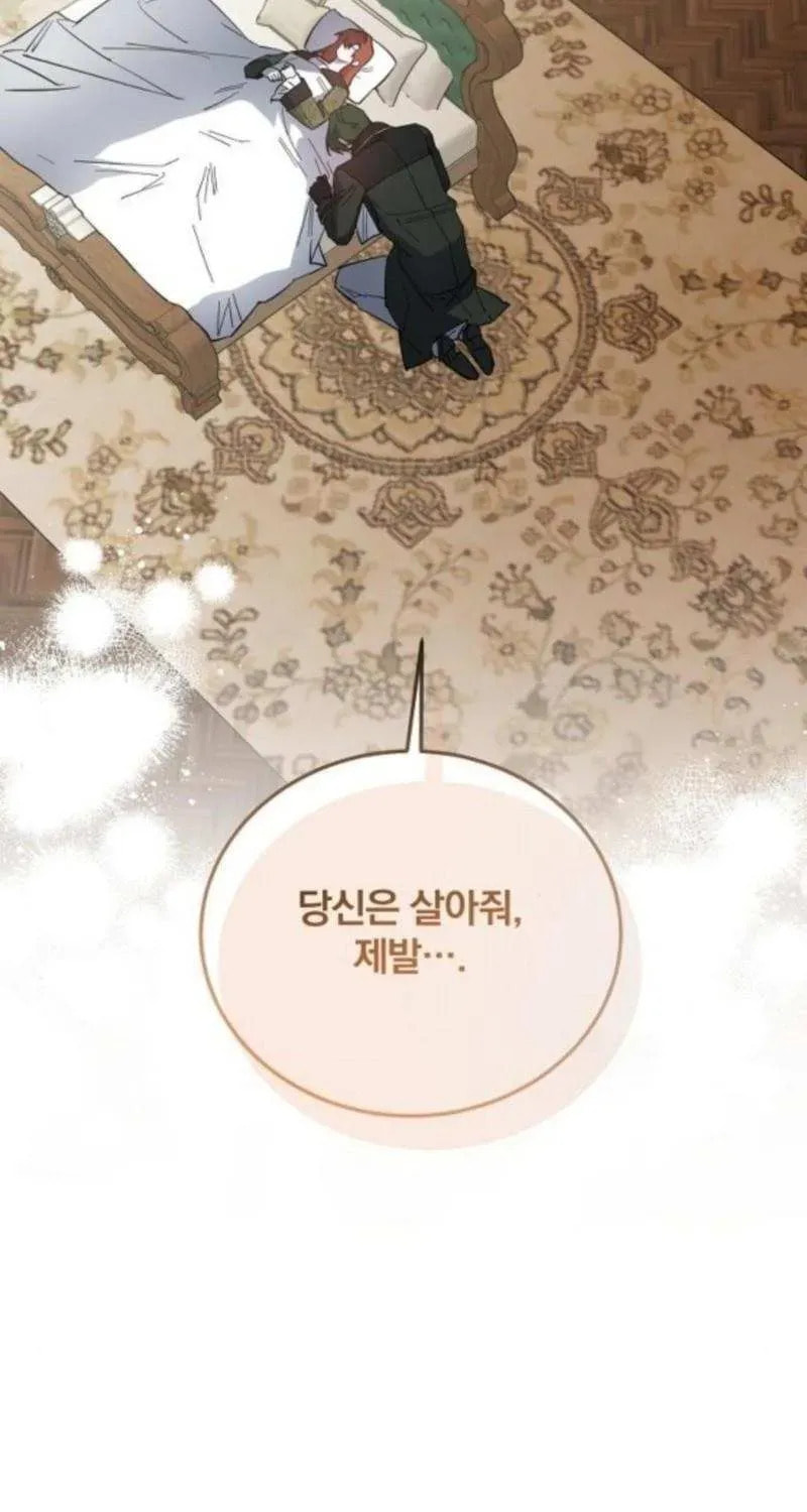 Revenge Guide for the Time-Limited Maid Chapter 45 page 39 - 