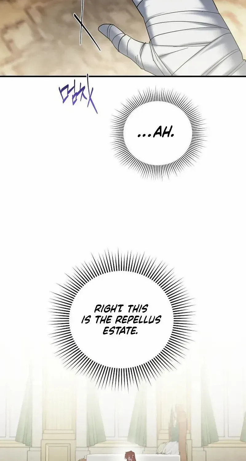 Revenge Guide for the Time-Limited Maid Chapter 46 page 57 - 