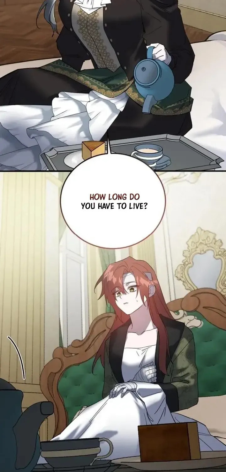 Revenge Guide for the Time-Limited Maid Chapter 47 page 12 - 