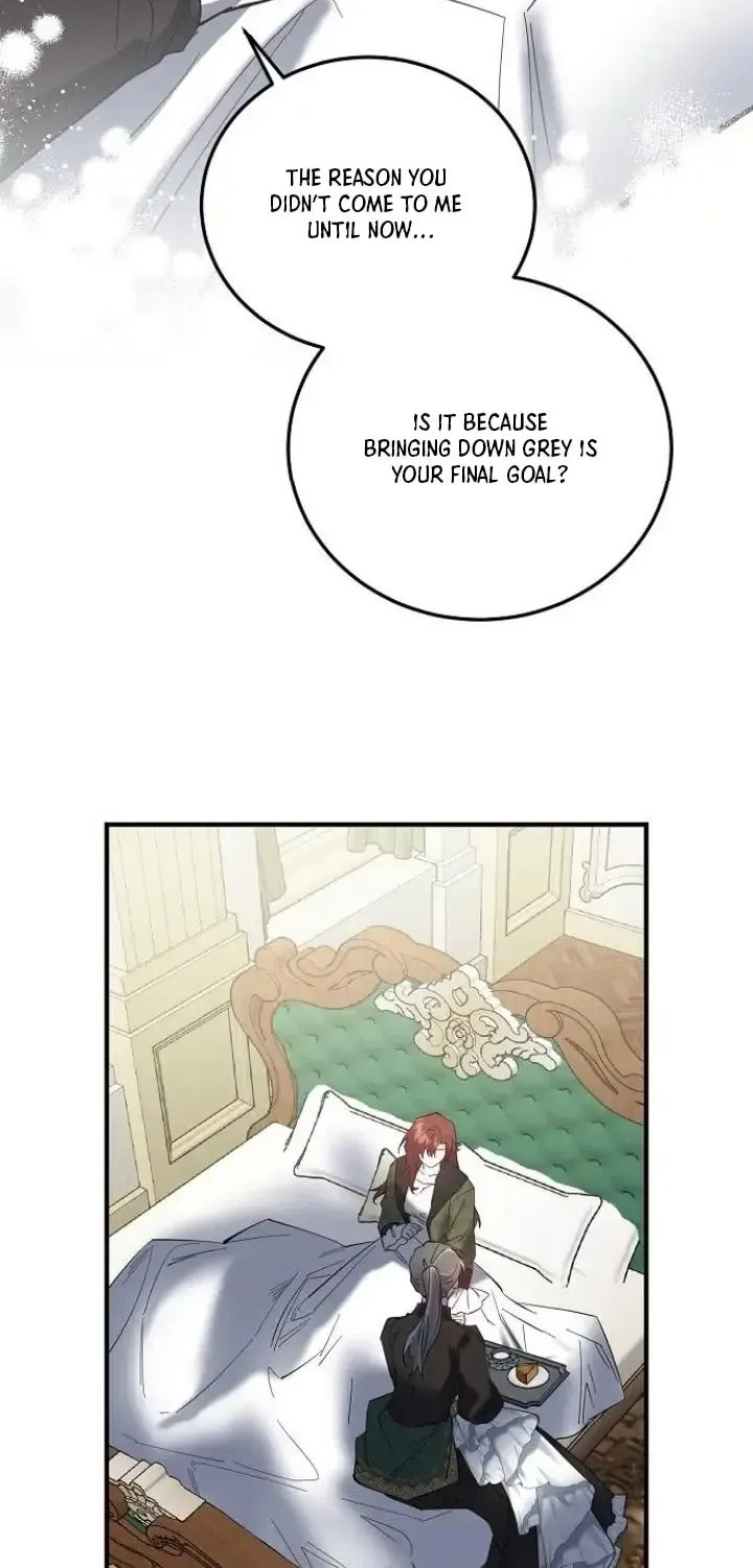 Revenge Guide for the Time-Limited Maid Chapter 47 page 19 - 