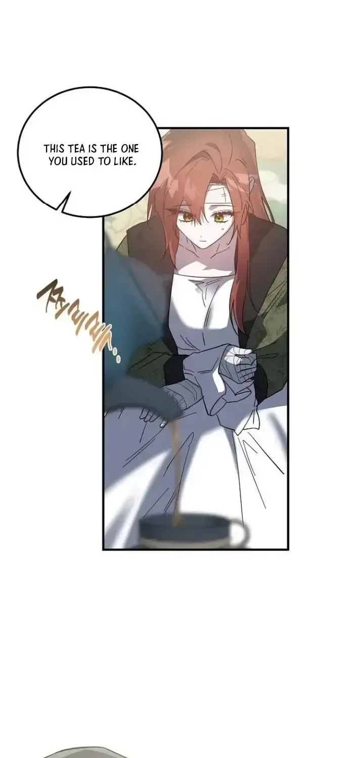 Revenge Guide for the Time-Limited Maid Chapter 47 page 9 - 