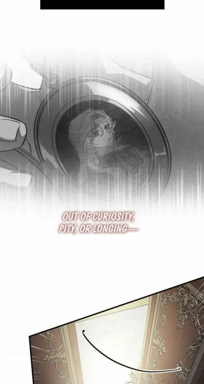 Revenge Guide for the Time-Limited Maid Chapter 52 page 50 - 