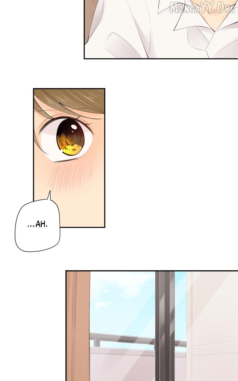Read Revenge Love chapter 165 image 23 on Lezhin