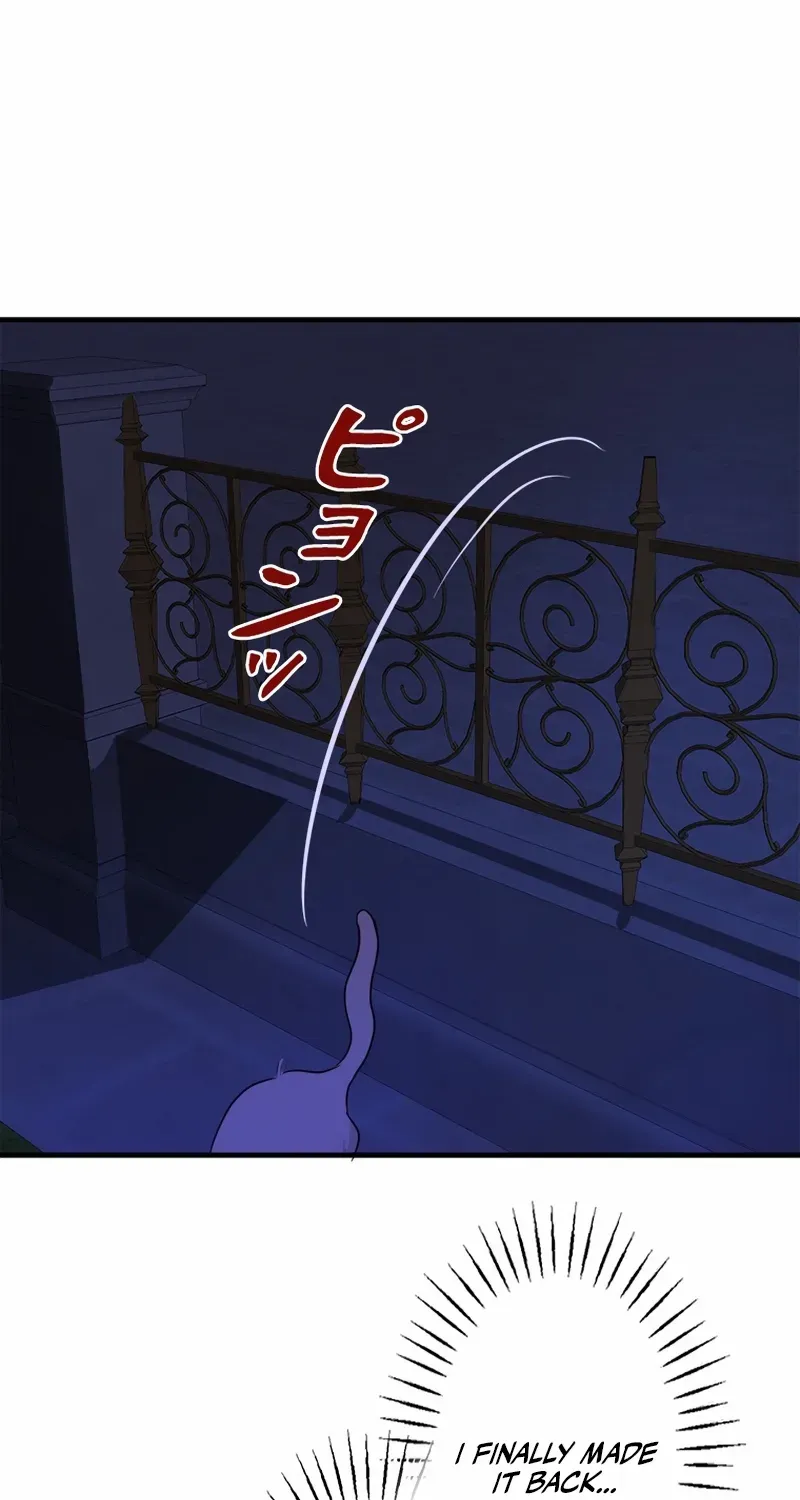 Read Revenge Witch chapter 6 image 44 on Lezhin