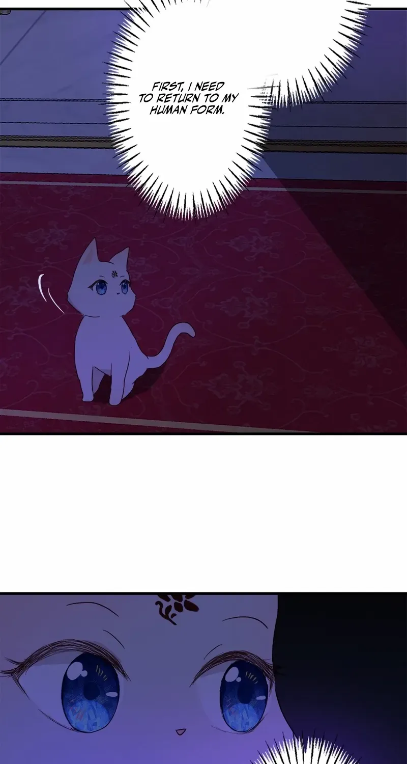 Read Revenge Witch chapter 6 image 45 on Lezhin