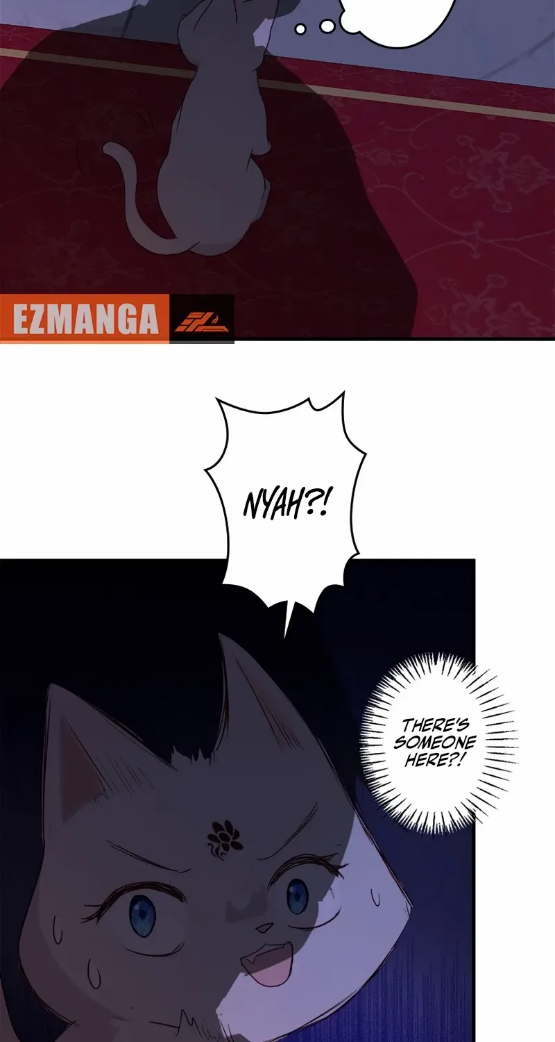 Read Revenge Witch chapter 6 image 47 on Lezhin