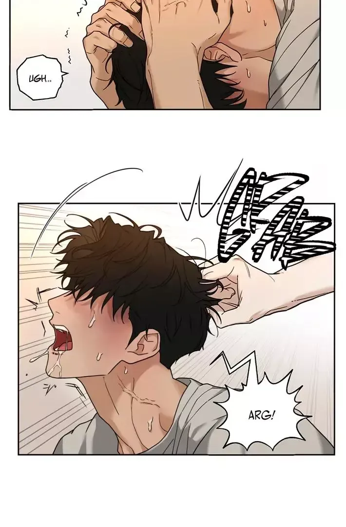 Read Revenge! chapter 12.5 image 18 on Lezhin