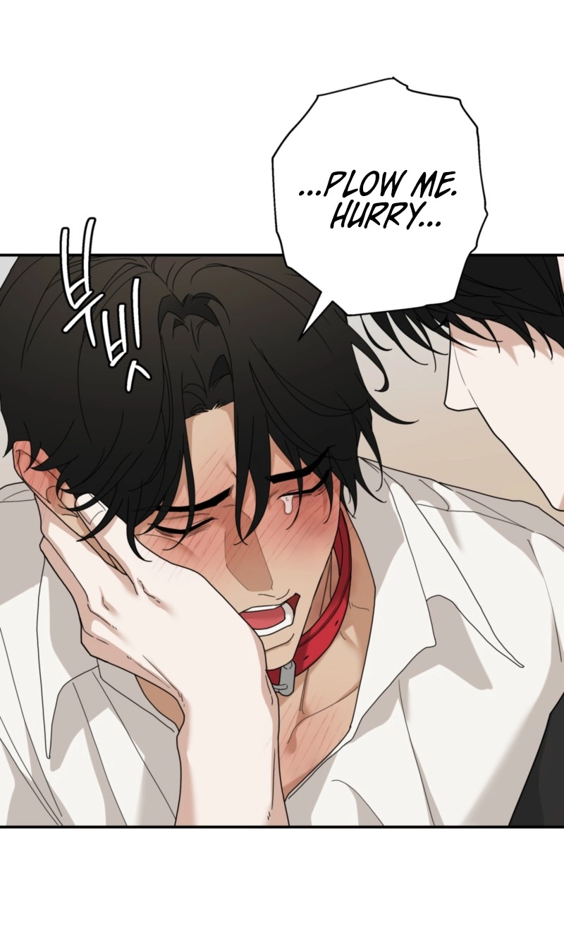 Read Revenge! chapter 48 image 6 on Lezhin