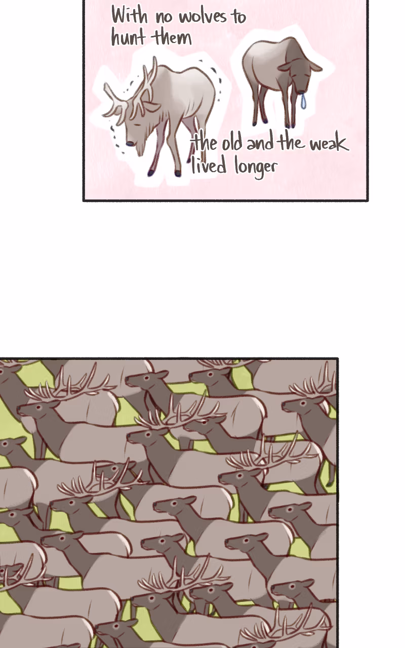Read Rewriting Extinction chapter 0.909 image 10 on Lezhin