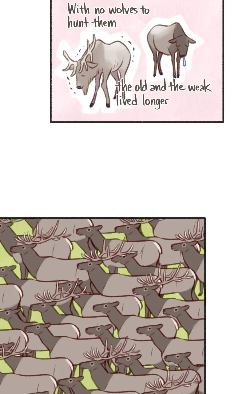 Read Rewriting Extinction chapter 18 image 10 on Lezhin