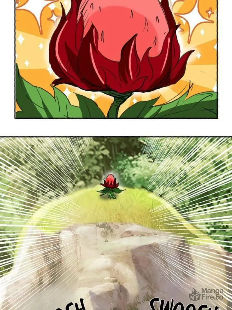 Rise of the Sect Master Chapter 14 page 5 - 