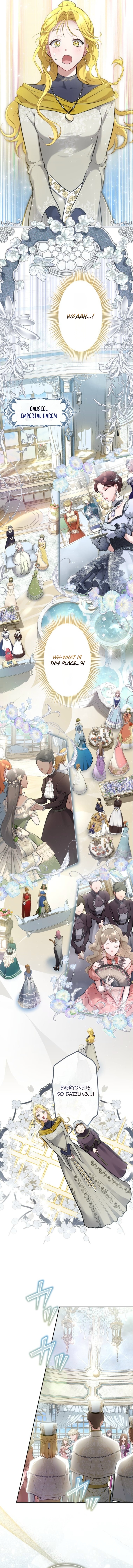Read Rita and the Oracle chapter 1 image 12 on Lezhin