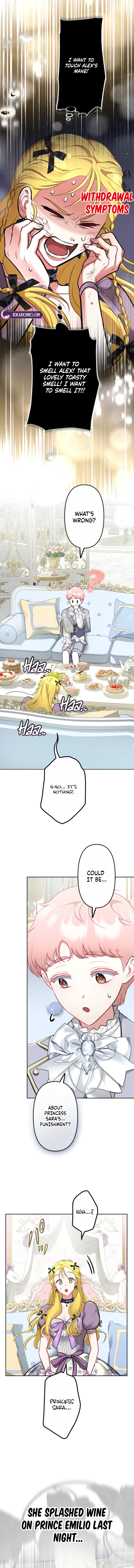 Read Rita and the Oracle chapter 6 image 6 on Lezhin