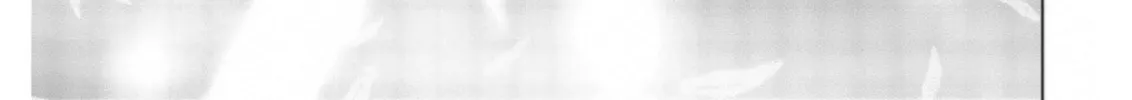 Read Rivnes chapter 60.5 image 67 on Lezhin