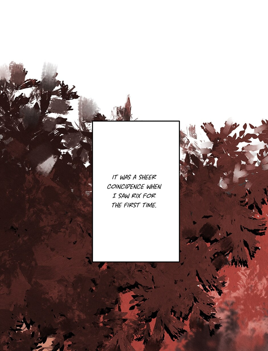 Read Rix Vanus chapter 37 image 0 on Lezhin