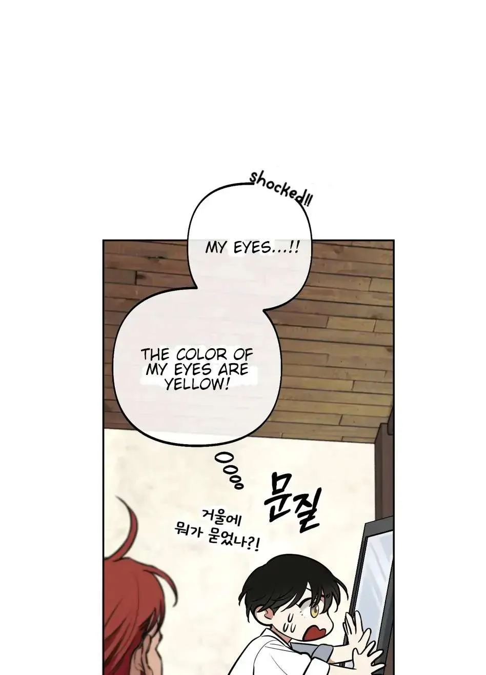 Read Rolling to be the King chapter 2 image 14 on Lezhin