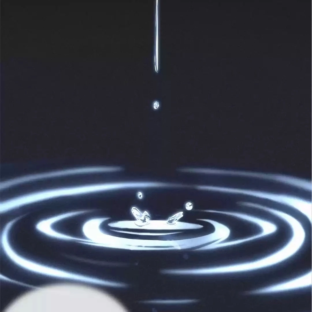Read Romance Between Regents chapter 33.1 image 85 on Lezhin