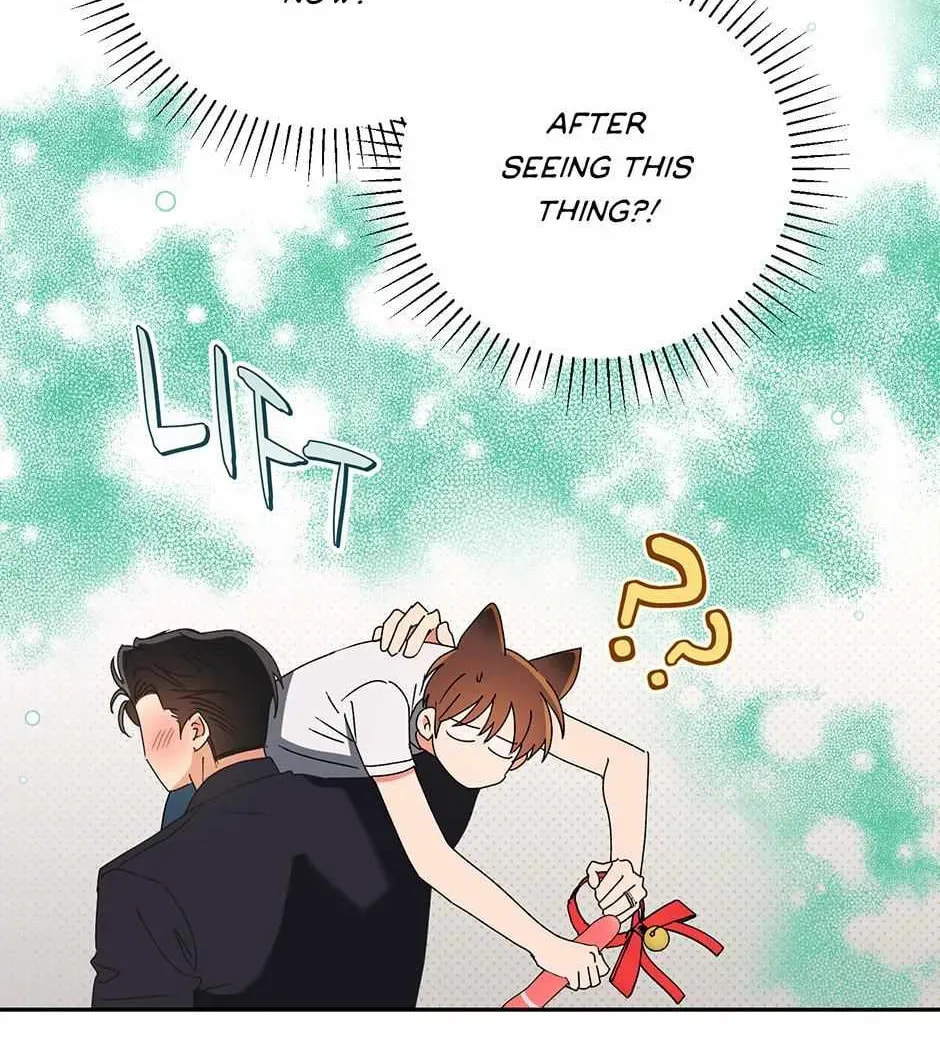 Romance Not Romantic Chapter 41 page 64 - 