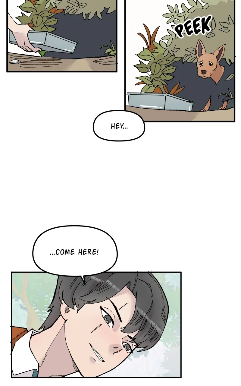 Romance Punch Chapter 44 page 43 - 