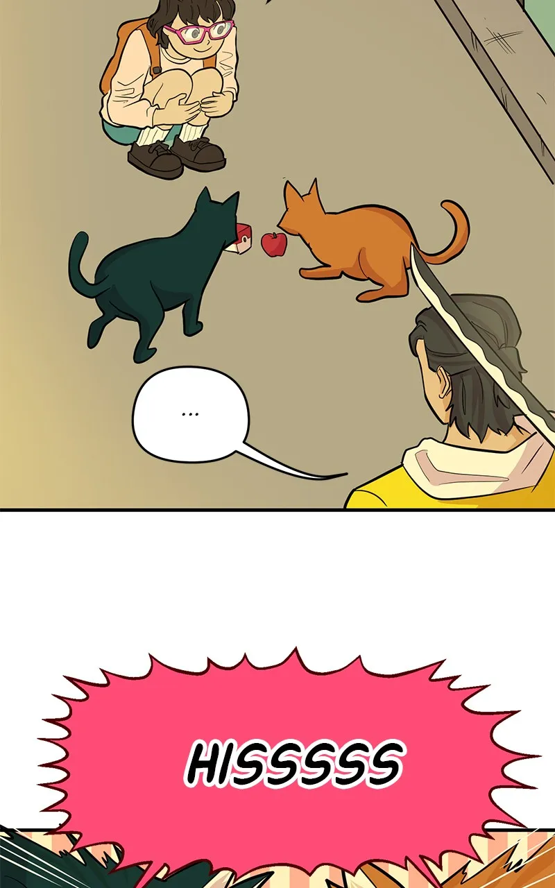 Read Romance Punch chapter 6 image 33 on Lezhin