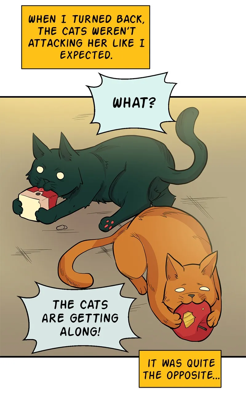Read Romance Punch chapter 6 image 37 on Lezhin