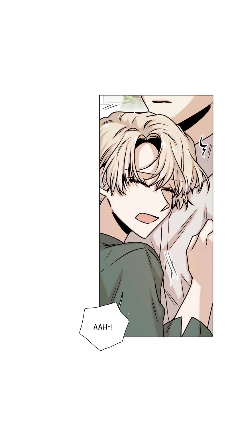 Romance Reincarnate Chapter 30 page 41 - 