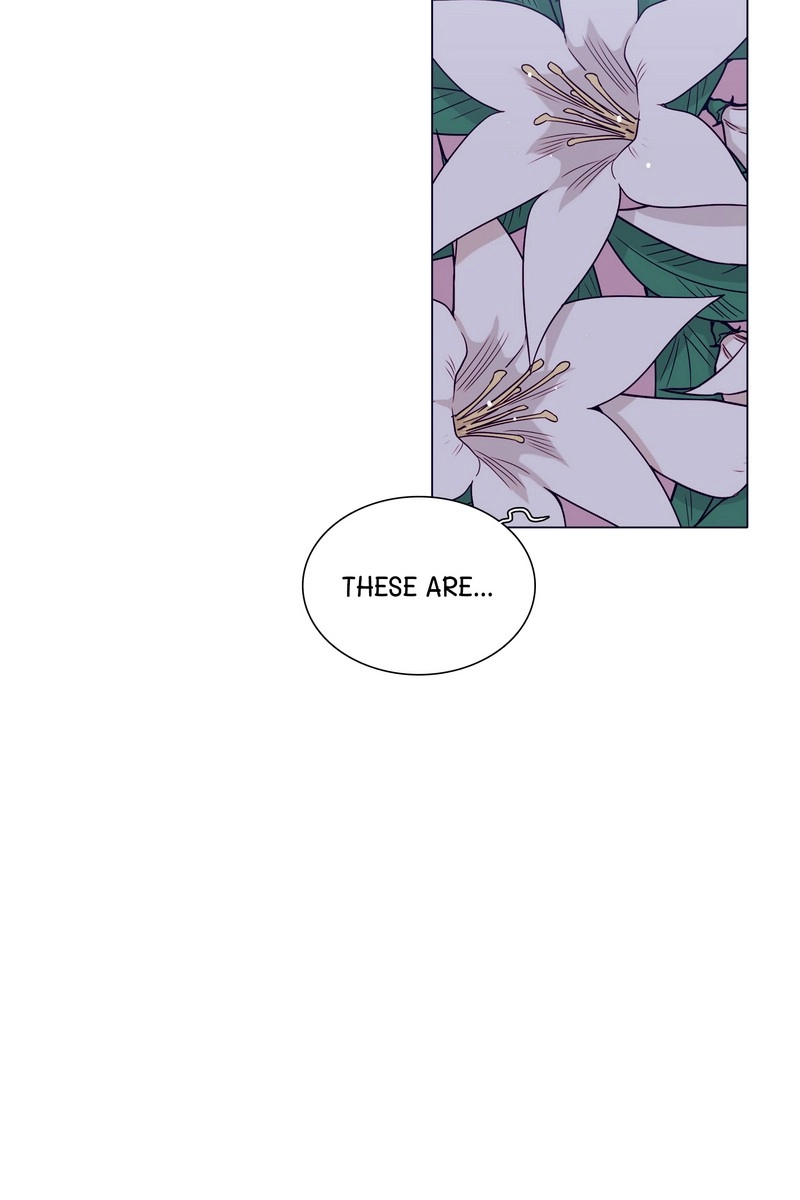 Romance Reincarnate Chapter 45 page 72 - 
