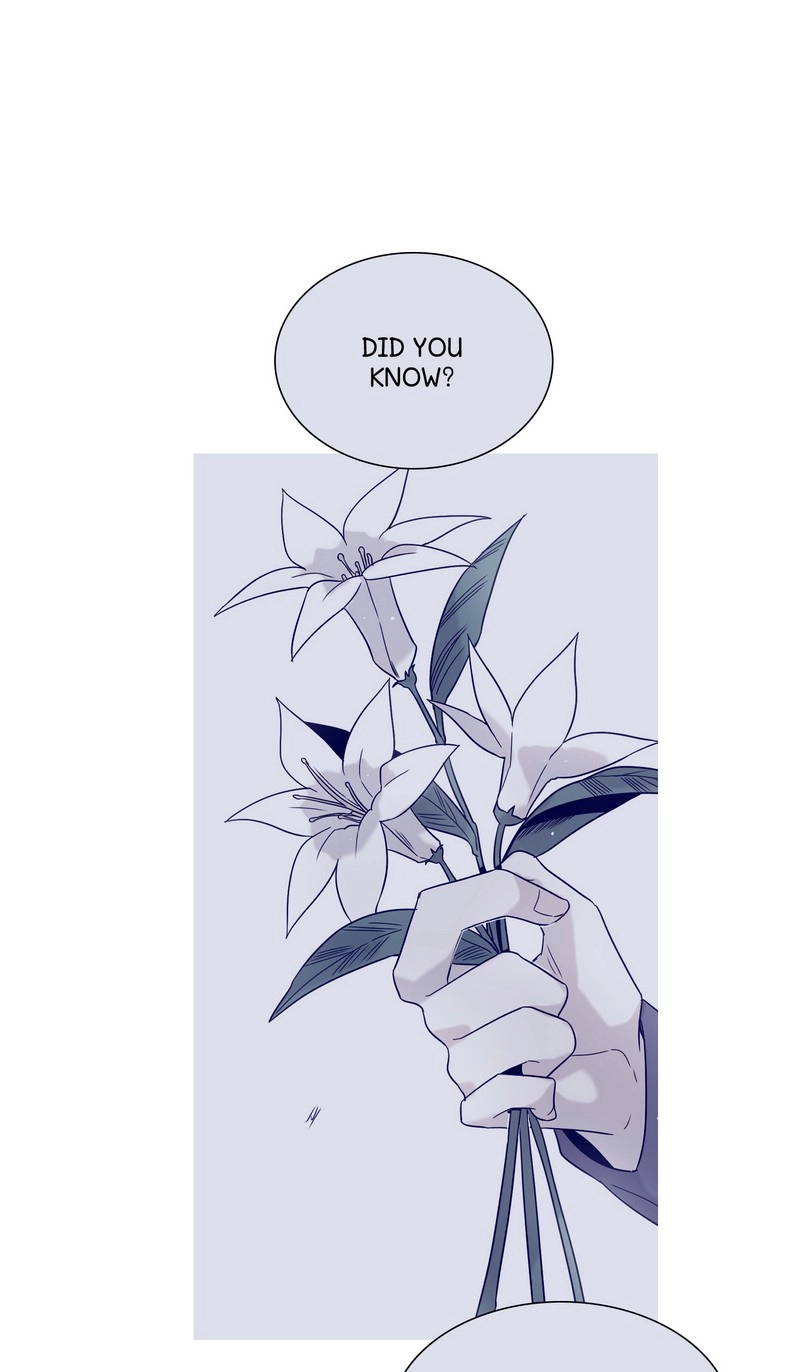 Romance Reincarnate Chapter 45 page 73 - 