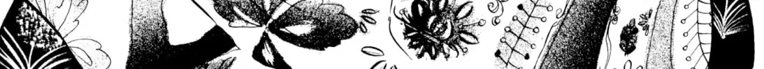 Read Romance chapter 51 image 1 on Lezhin