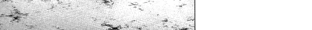 Read Rookies chapter 198 image 13 on Lezhin