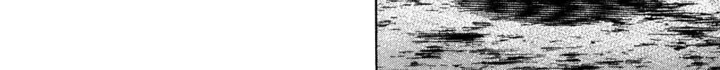 Read Rookies chapter 208 image 15 on Lezhin