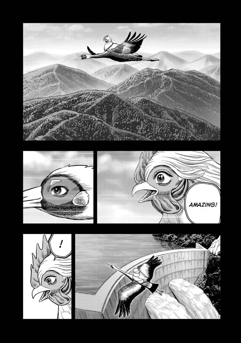 Read Rooster Fighter chapter 0.1 image 36 on Lezhin