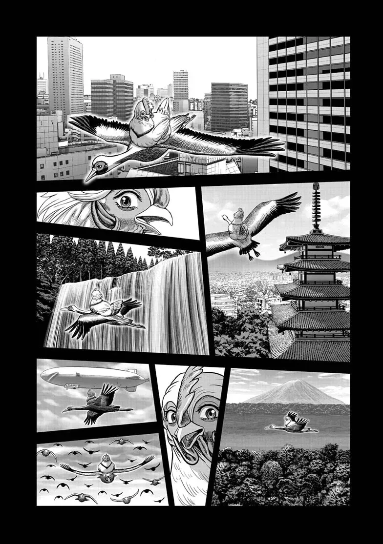 Read Rooster Fighter chapter 0.1 image 38 on Lezhin