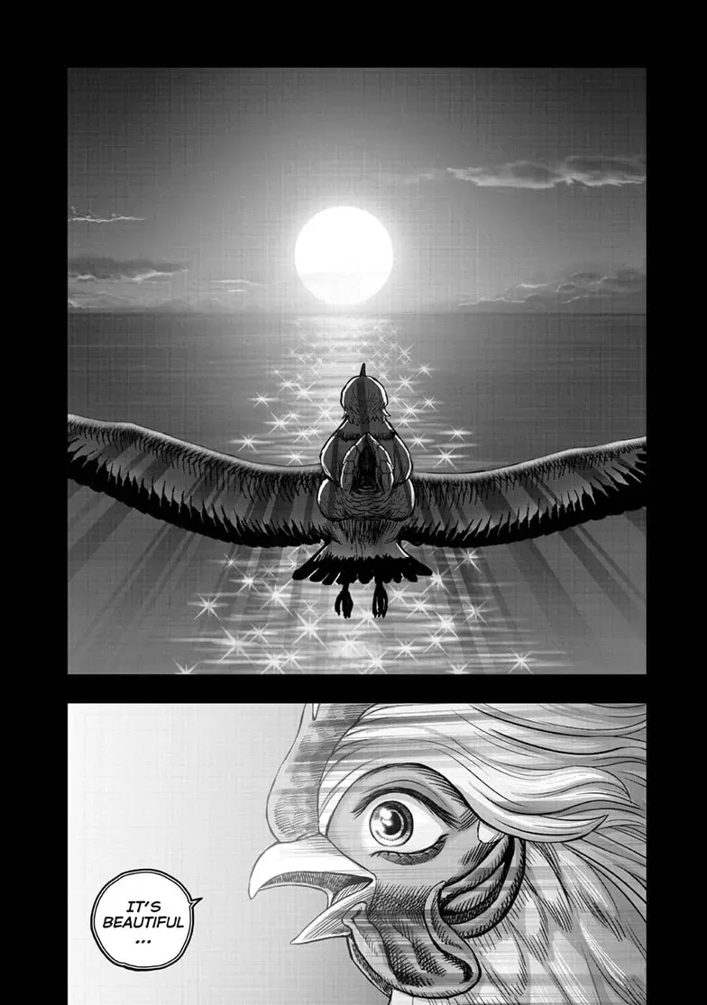 Read Rooster Fighter chapter 0.1 image 40 on Lezhin