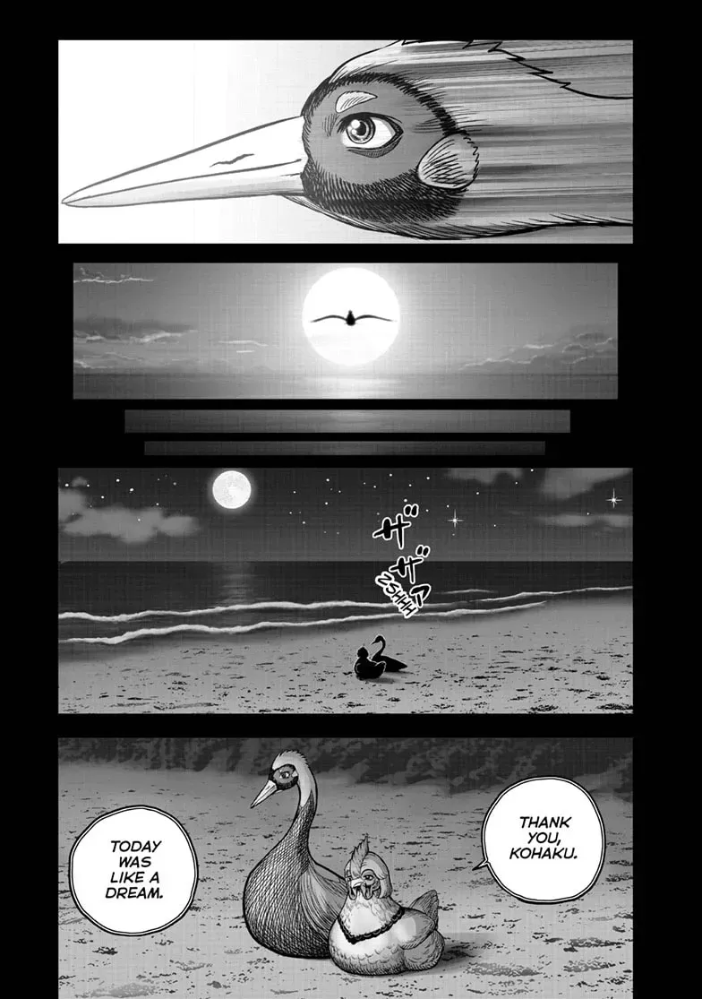 Read Rooster Fighter chapter 0.1 image 41 on Lezhin