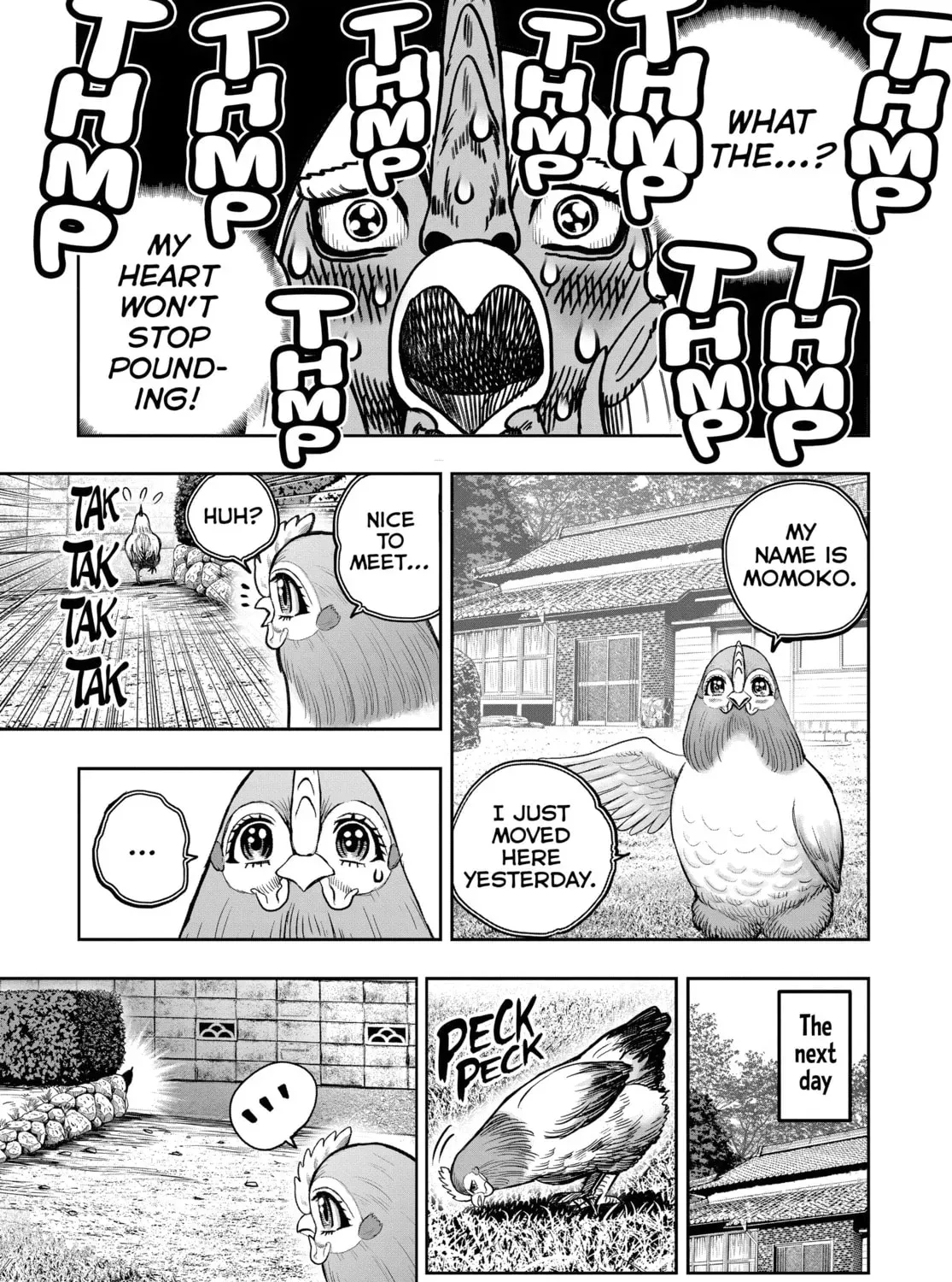 Read Rooster Fighter chapter 0 image 8 on Lezhin